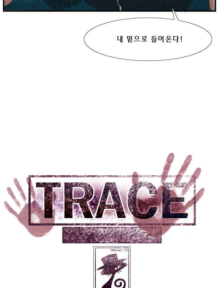 트레이스 장미 2 52