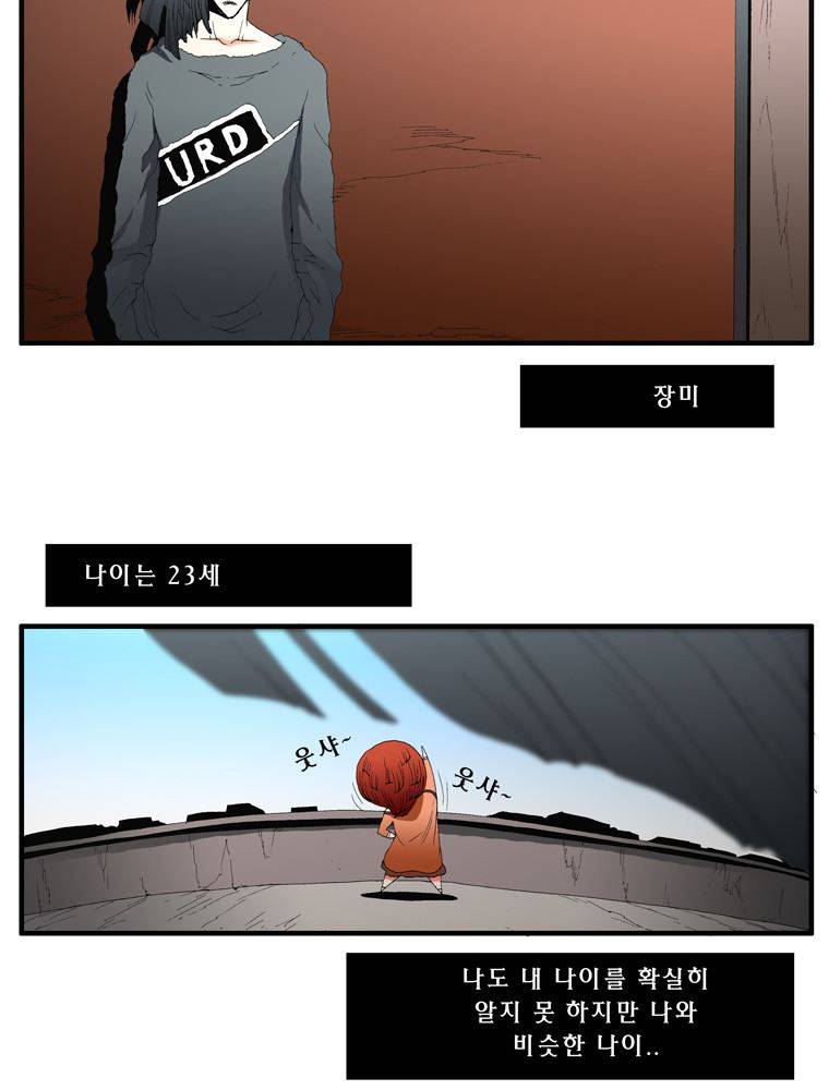 트레이스 장미 12 2