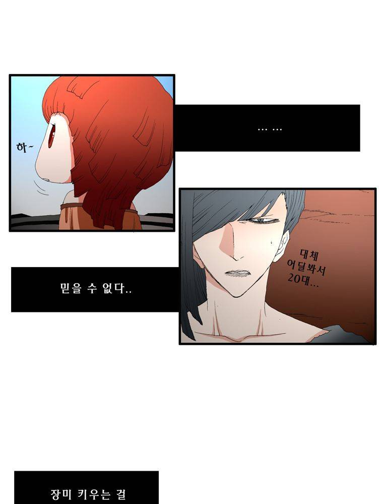 트레이스 장미 12 3
