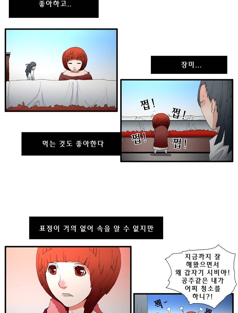 트레이스 장미 12 4