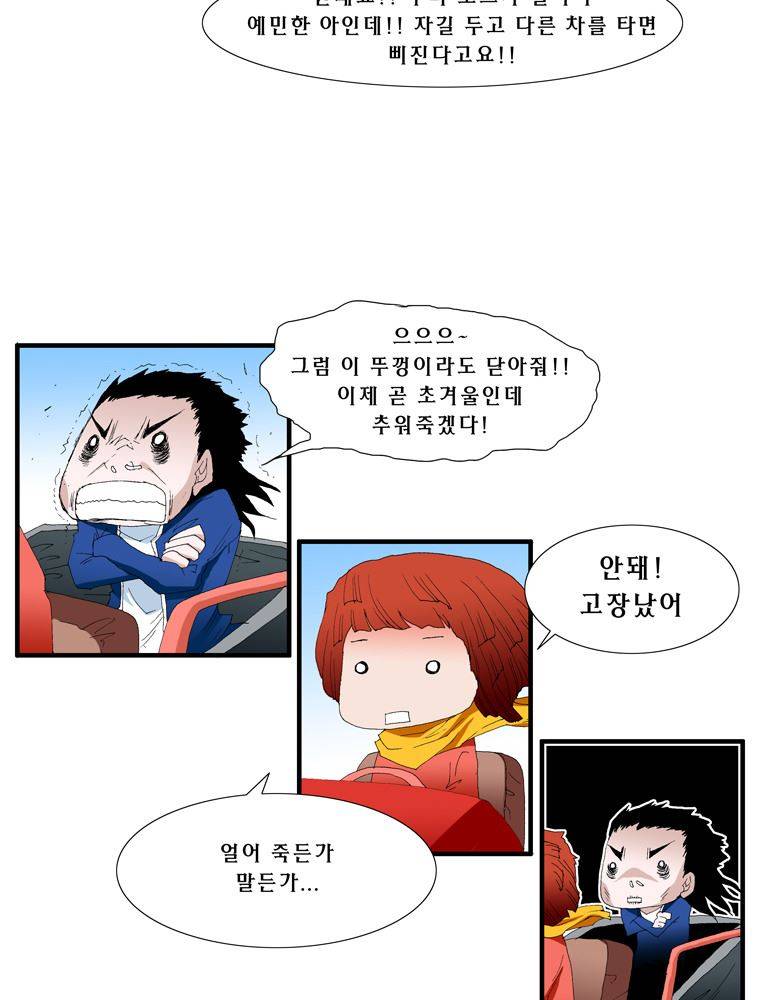 트레이스 장미 12 11