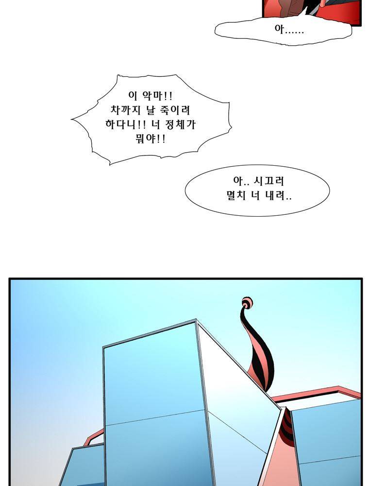 트레이스 장미 12 12