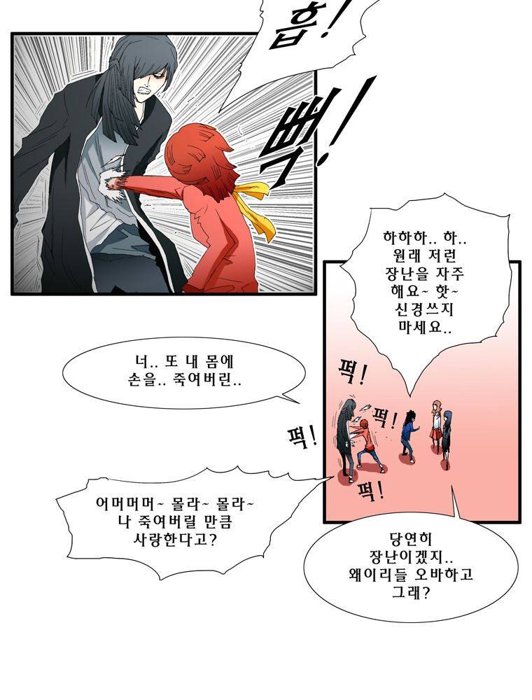 트레이스 장미 12 18