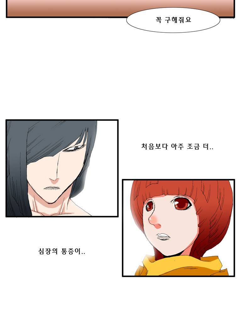 트레이스 장미 12 31