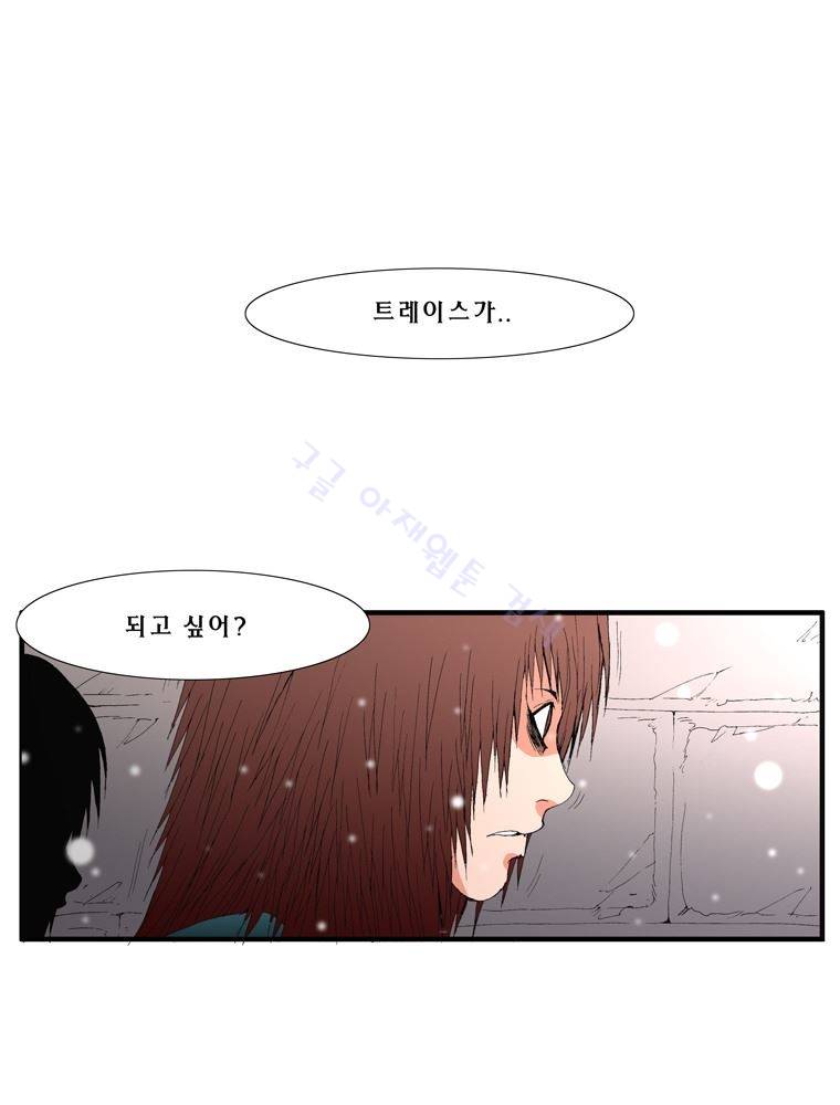 트레이스 장미 12 40