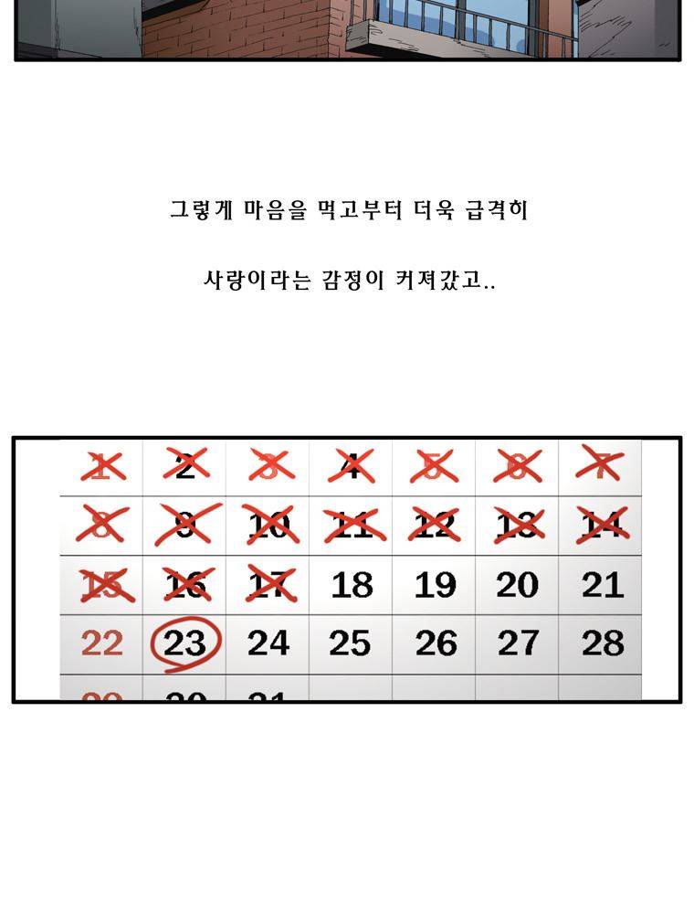트레이스 장미 23 13
