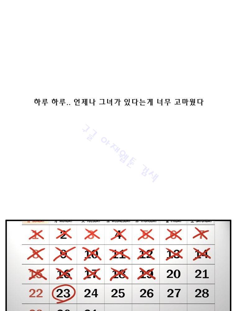 트레이스 장미 23 20