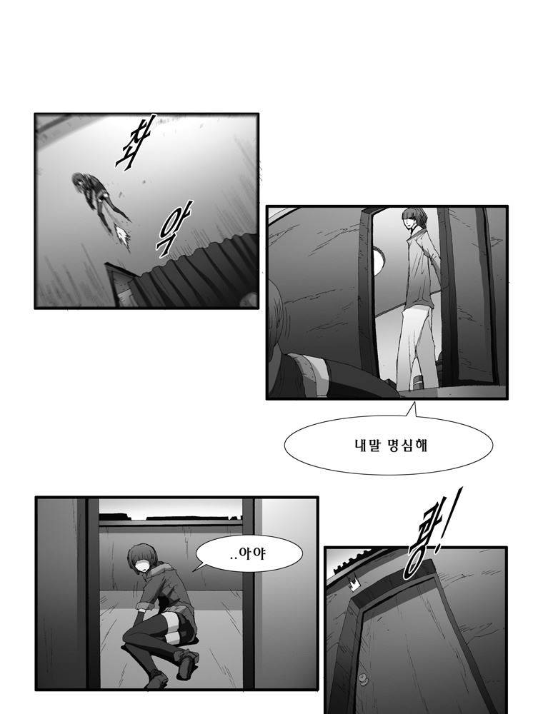 트레이스 장미 23 28