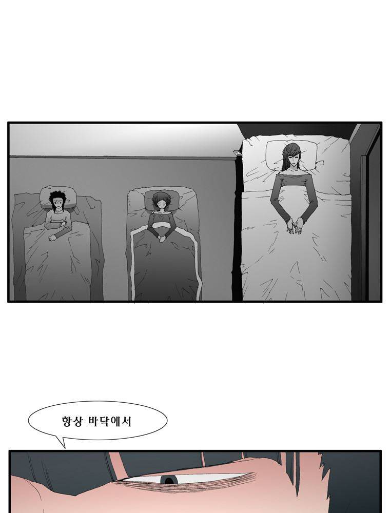 트레이스 장미 23 33