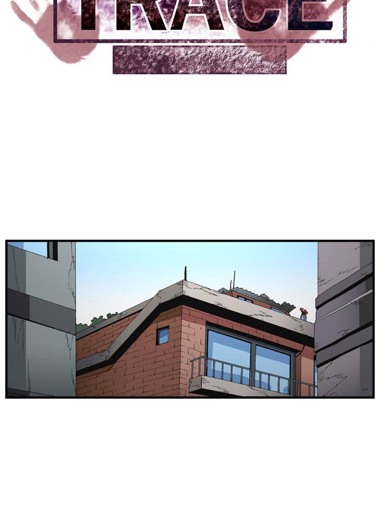 트레이스 장미 23 46