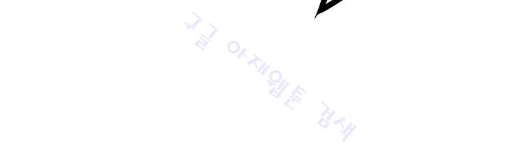 무장 165화 5