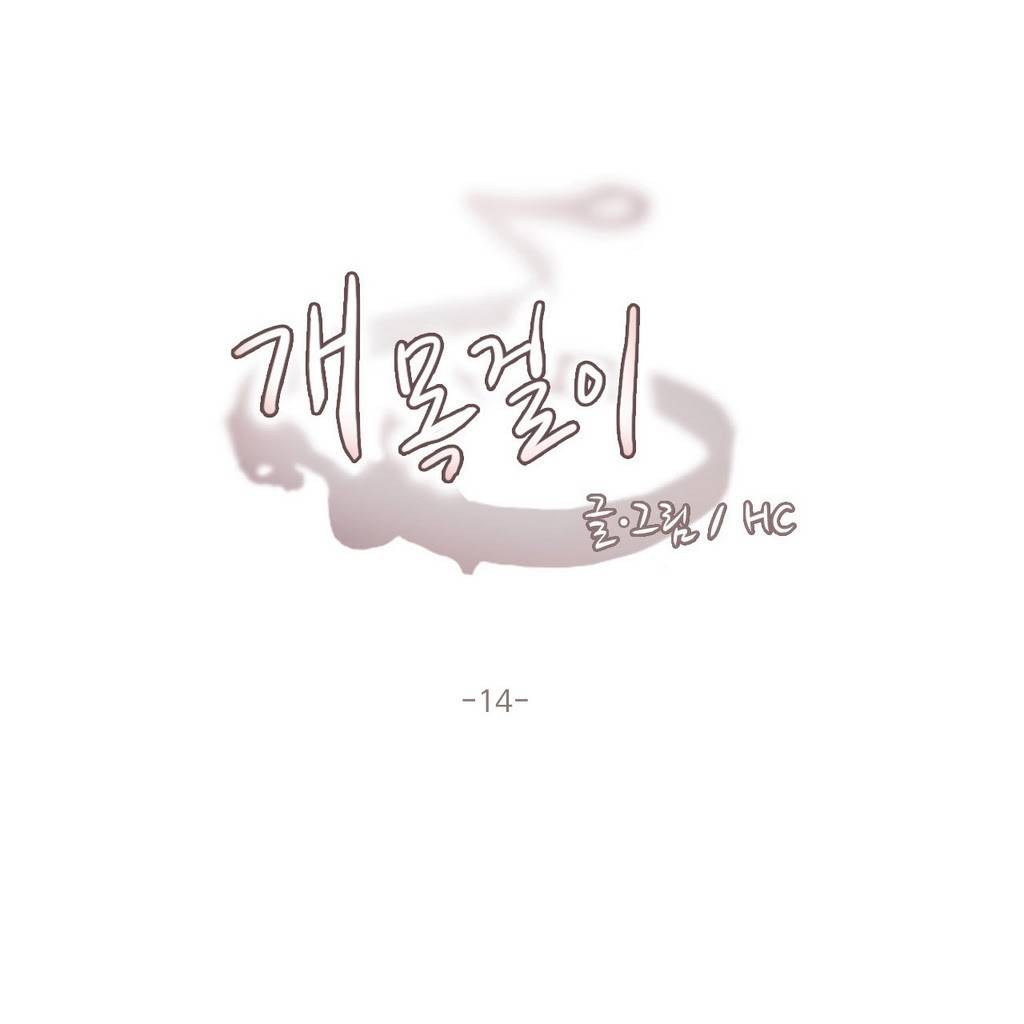 개목걸이 14화 1