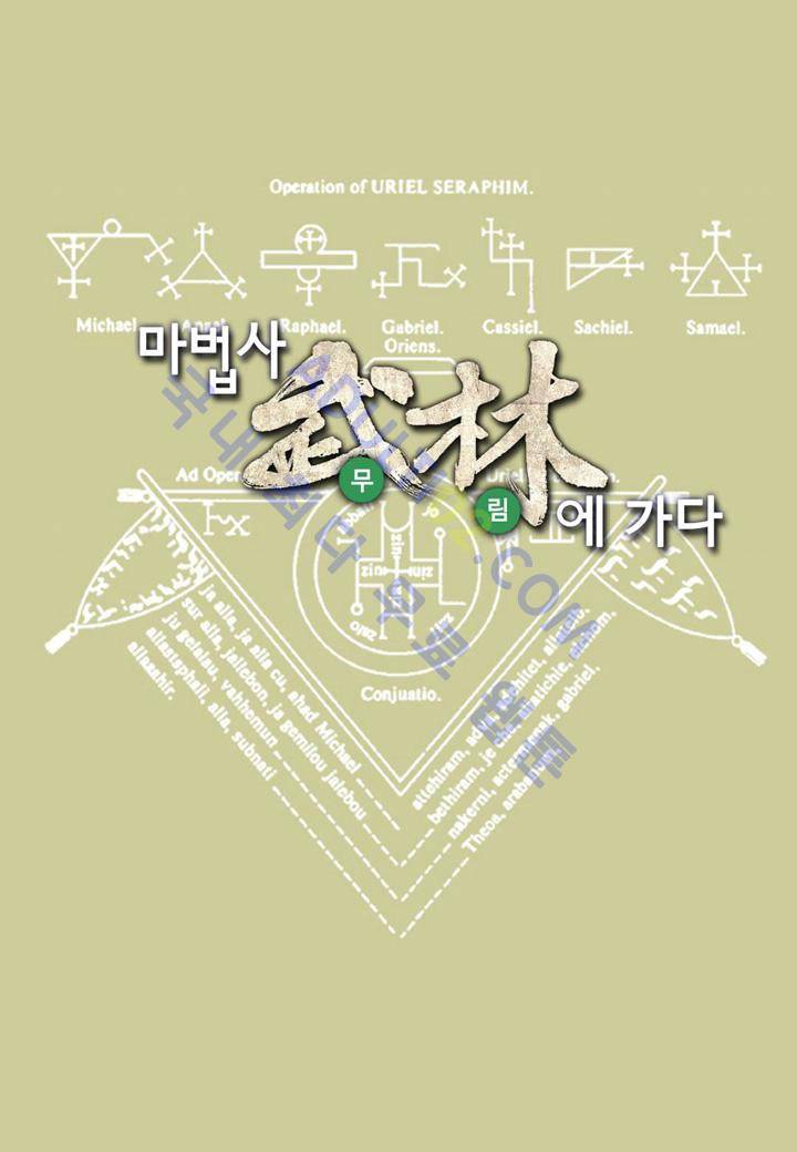 마법사 무림에 가다 28화 1