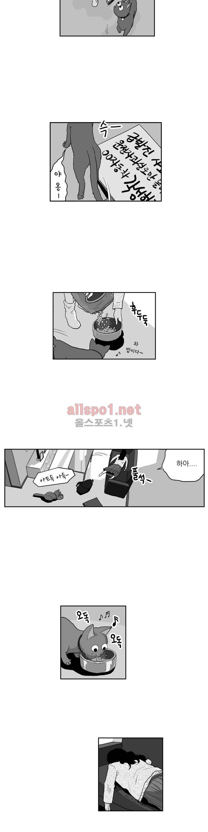 초년의 맛 21화 4