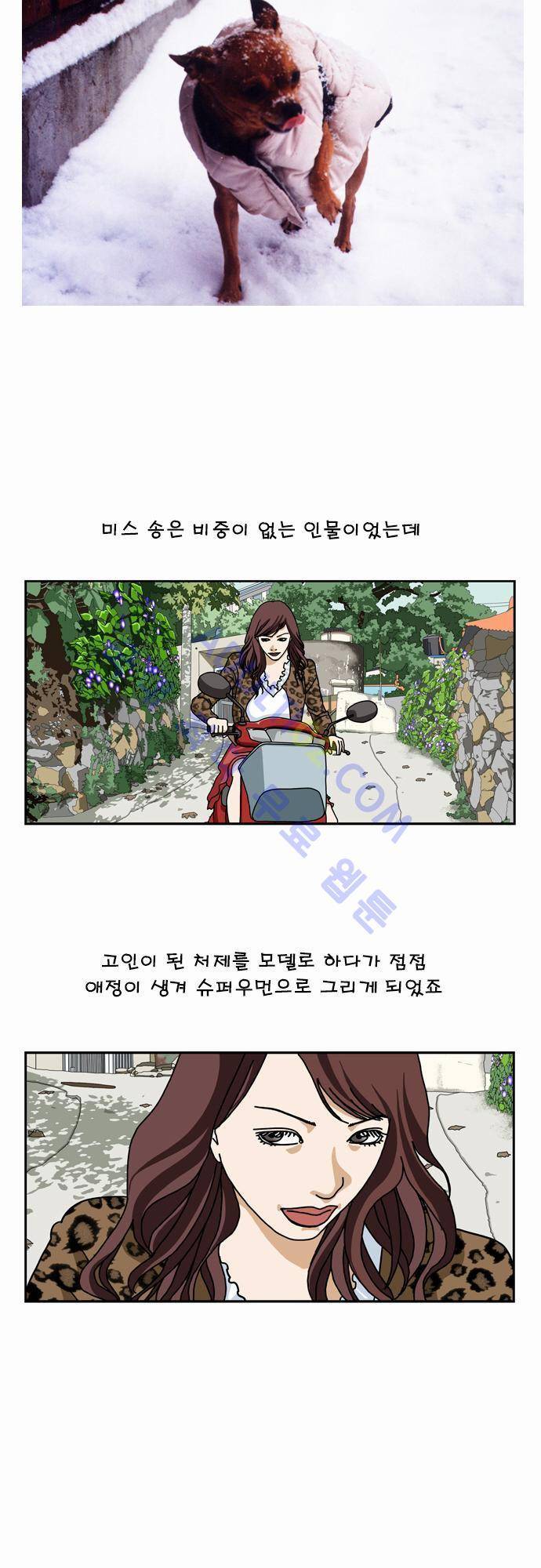 초아 후기 7