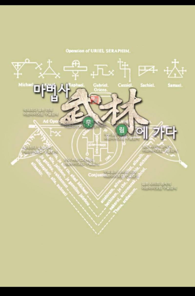 마법사 무림에 가다 35화 1