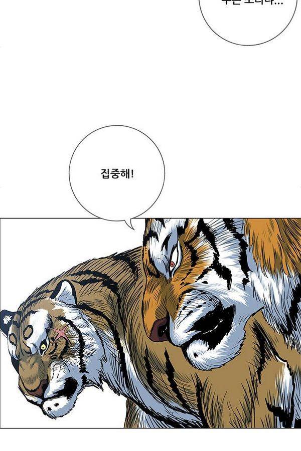 호랑이형님 2부 39화 10