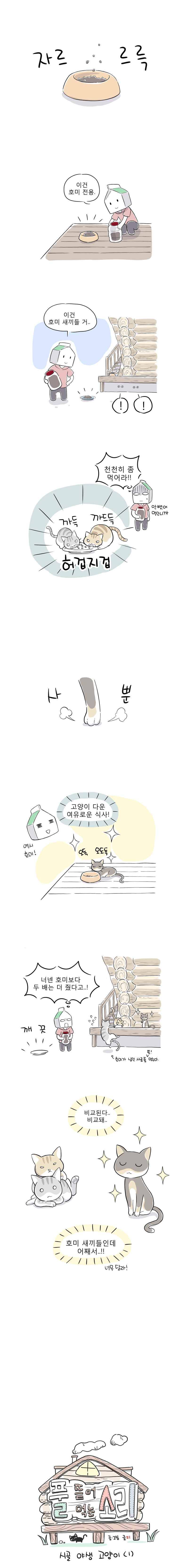 풀 뜯어먹는 소리 44화 시골 야생 고양이 (1) 1