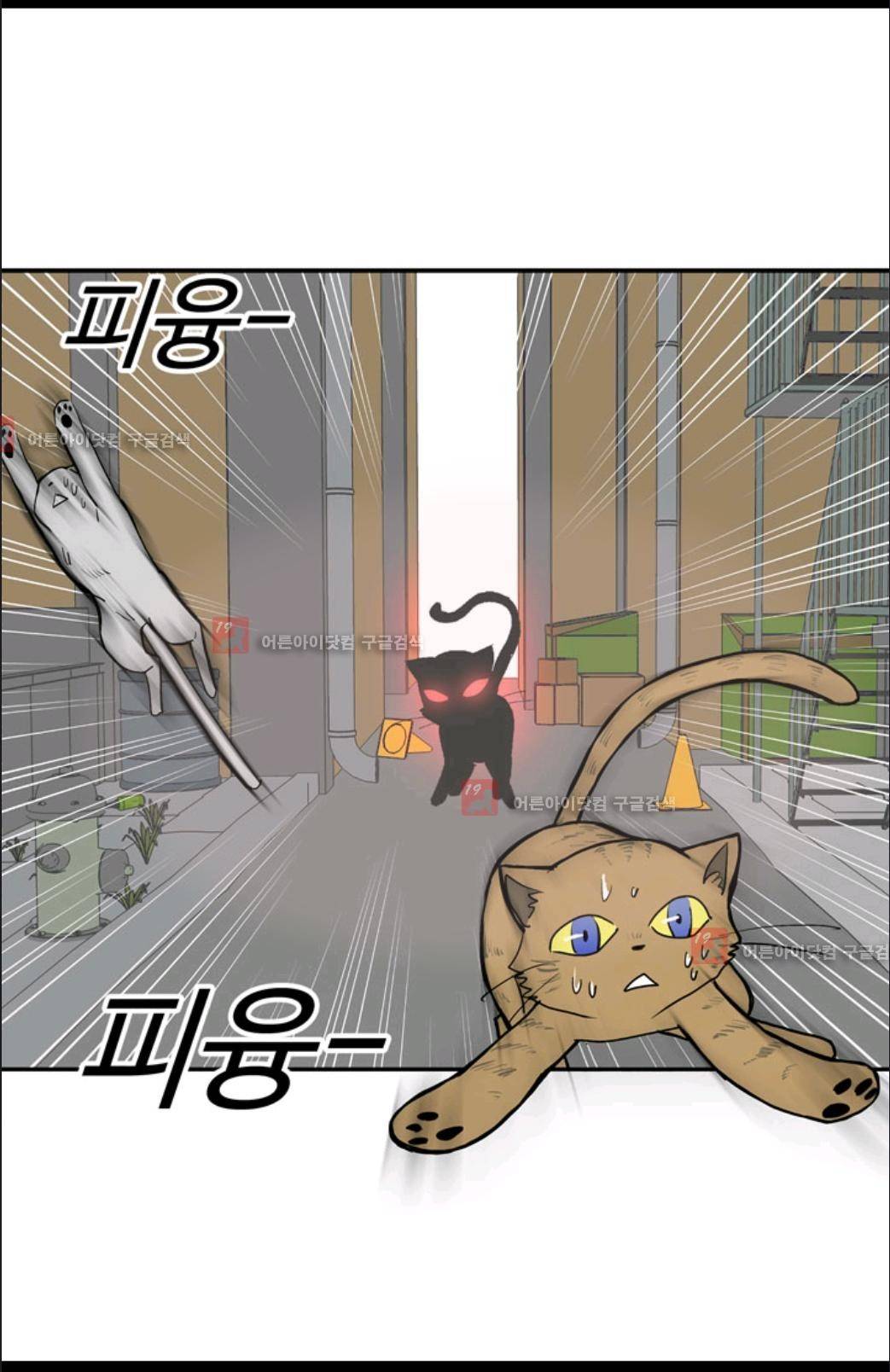 애니멀 아이즈 13화 5