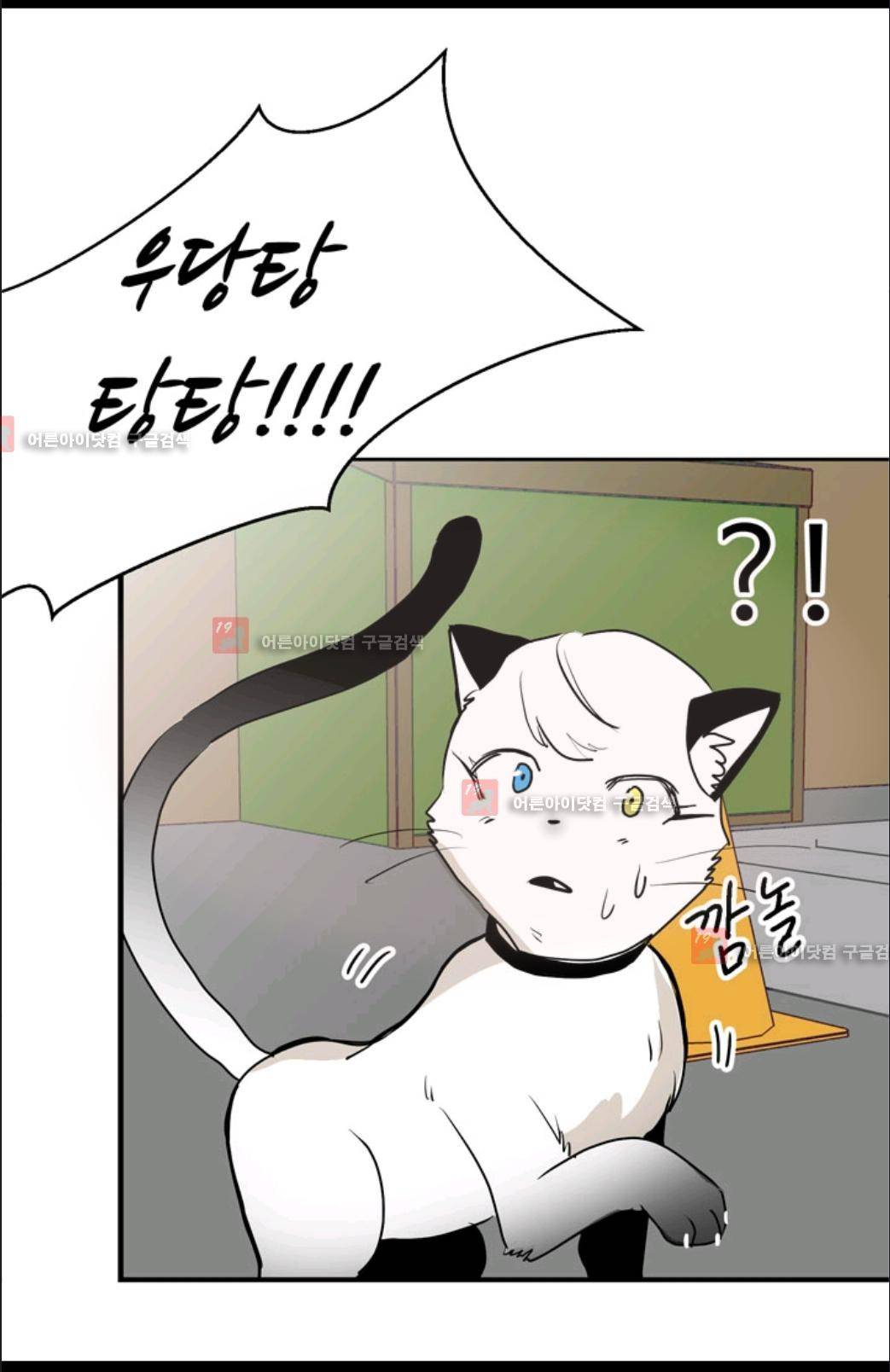 애니멀 아이즈 13화 7