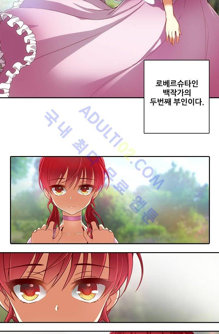 아도니스 1화 11