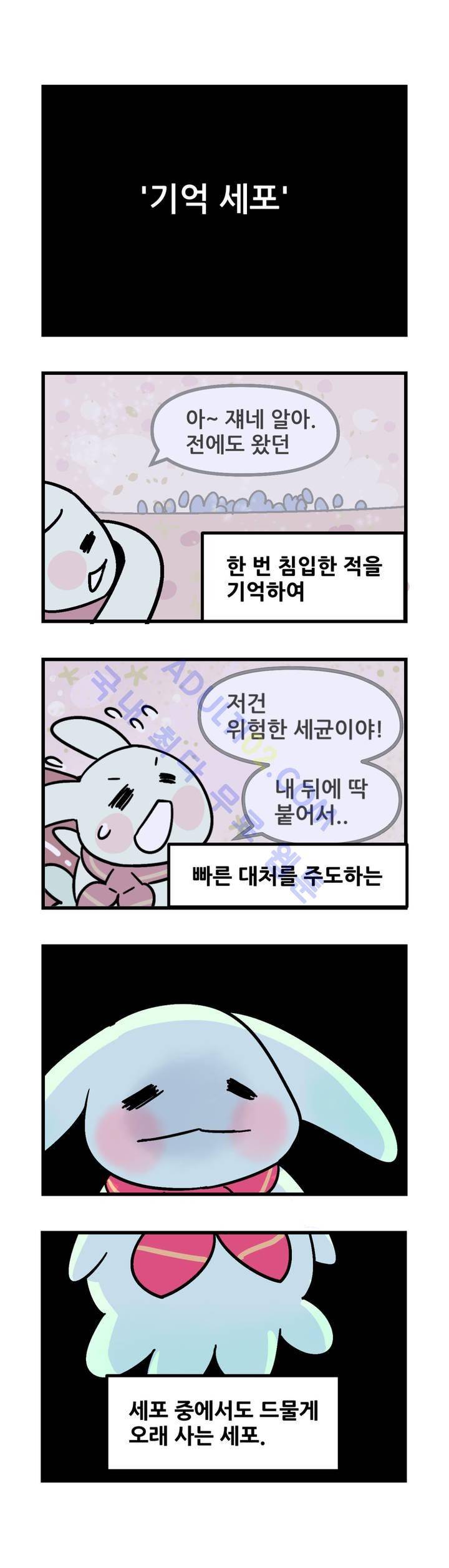 돌고도는 세포고백! 19화 2