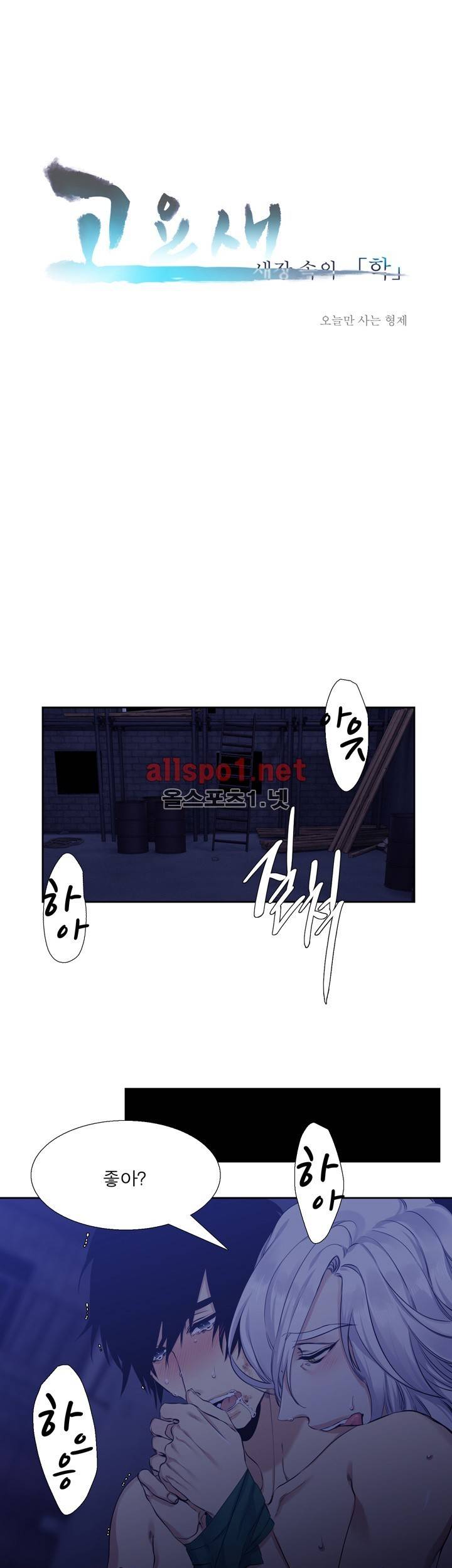 고요새 43화 1