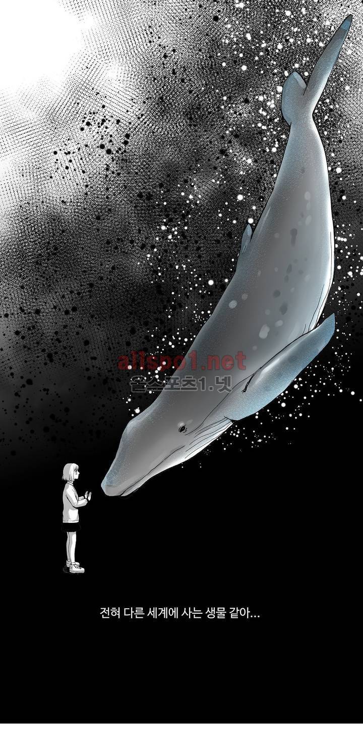 고래  1화 8