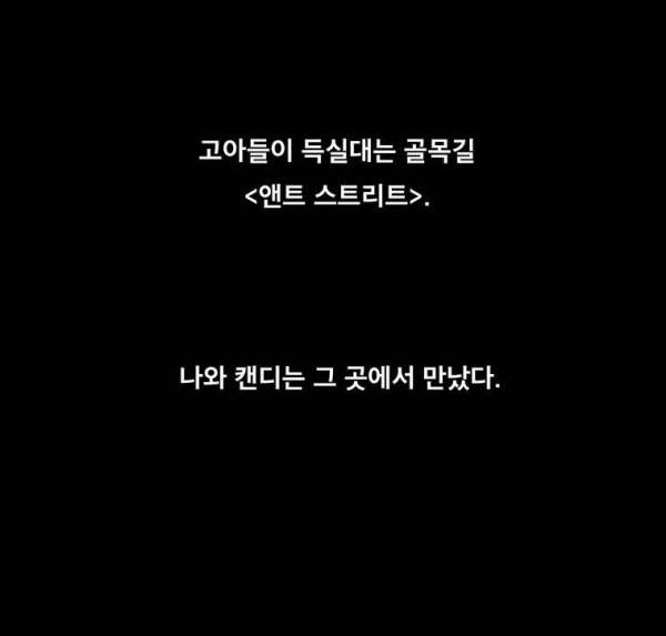버닝 이펙트 51화 11