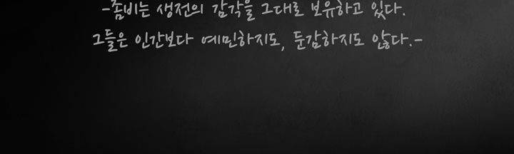 죽은 자들의 도시에서 15화 9