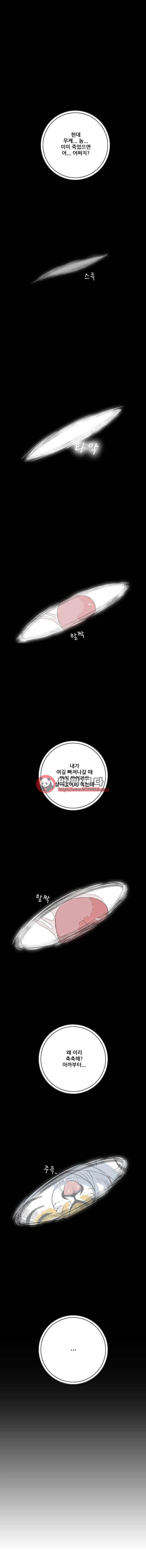 호랑이형님 2부 69화 - 어미새1 10