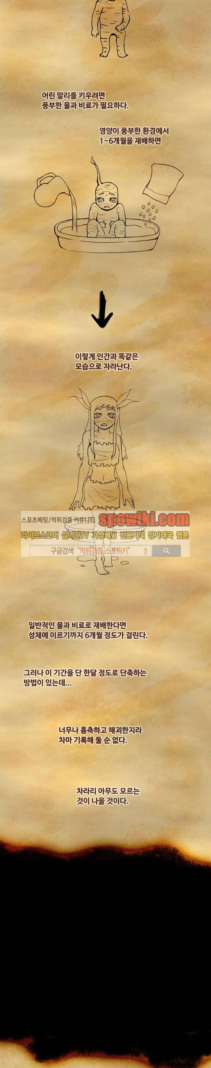 사막화 휴재 특별편 2
