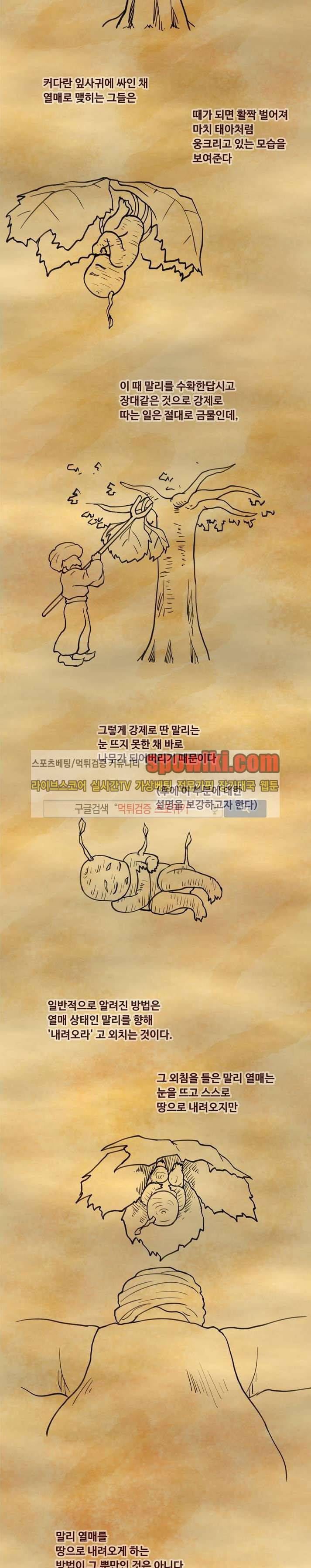 사막화 휴재 특별편 6