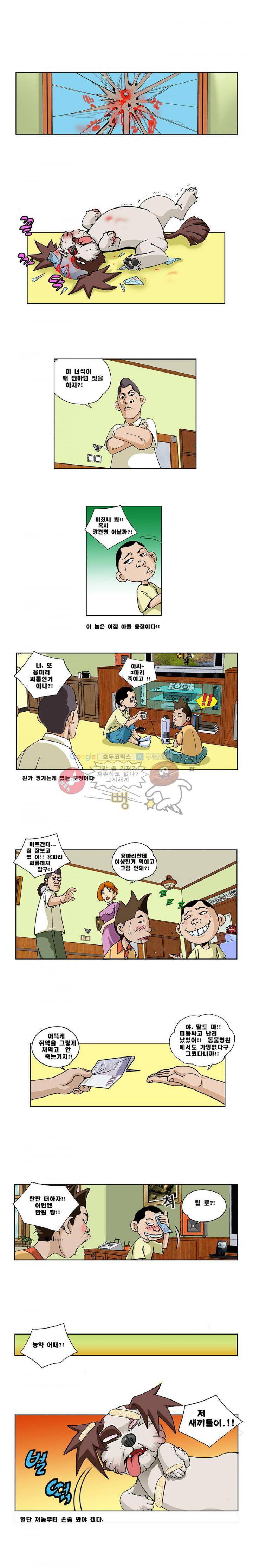 조폭강쥐 용파리 1화 - 태생 2