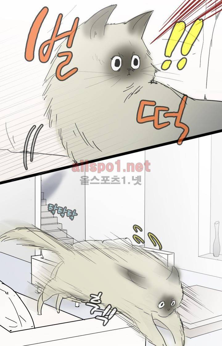 일단 뜨겁게 청소하라?! 12화 7