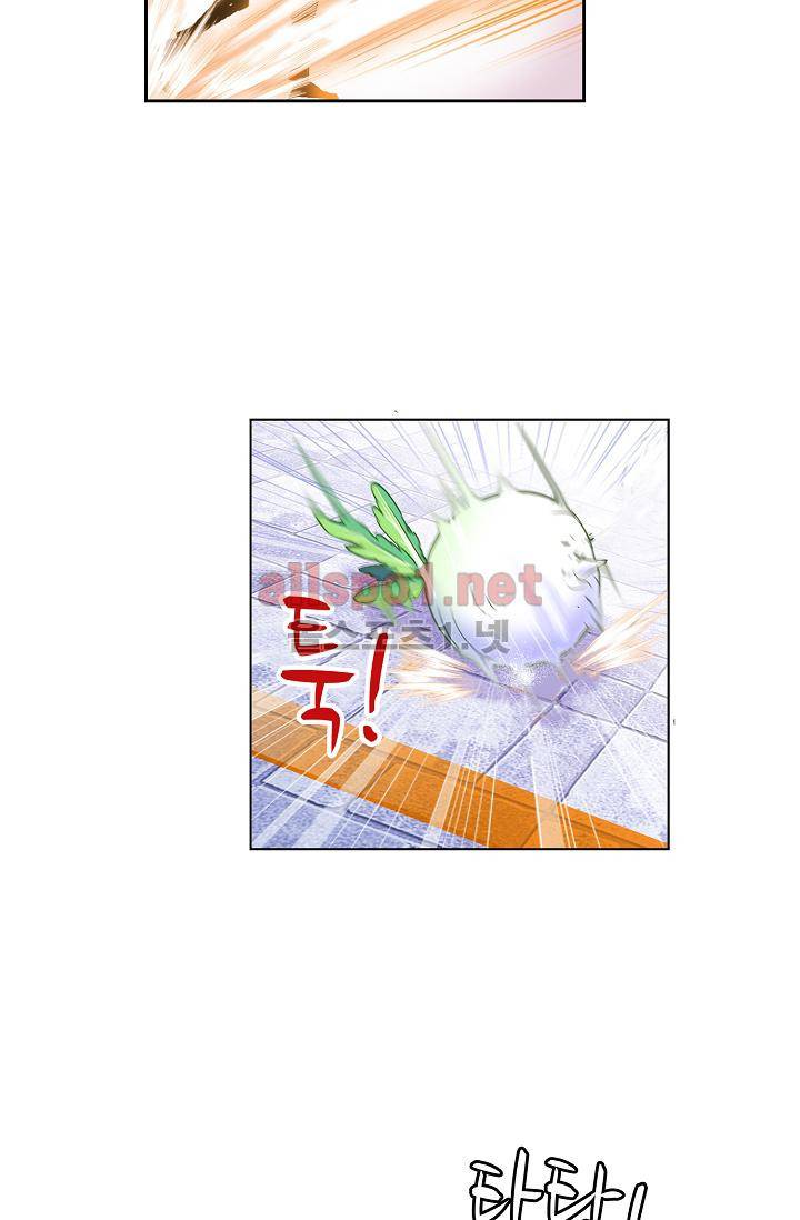 엘피스 전기: SOUL LAND 300화 34