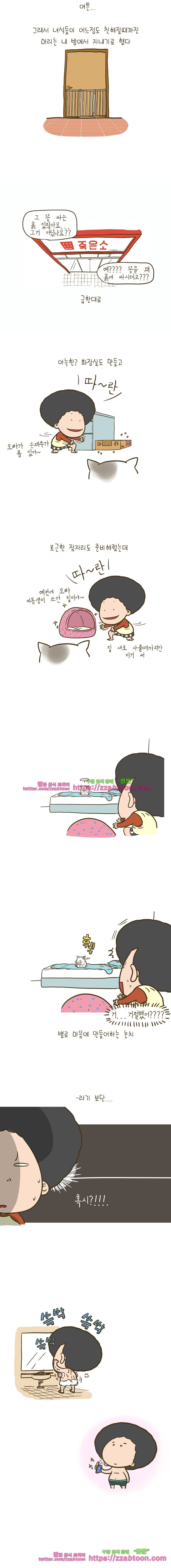 어제 오늘 그리고 내일-155화 고양이에 대해 2