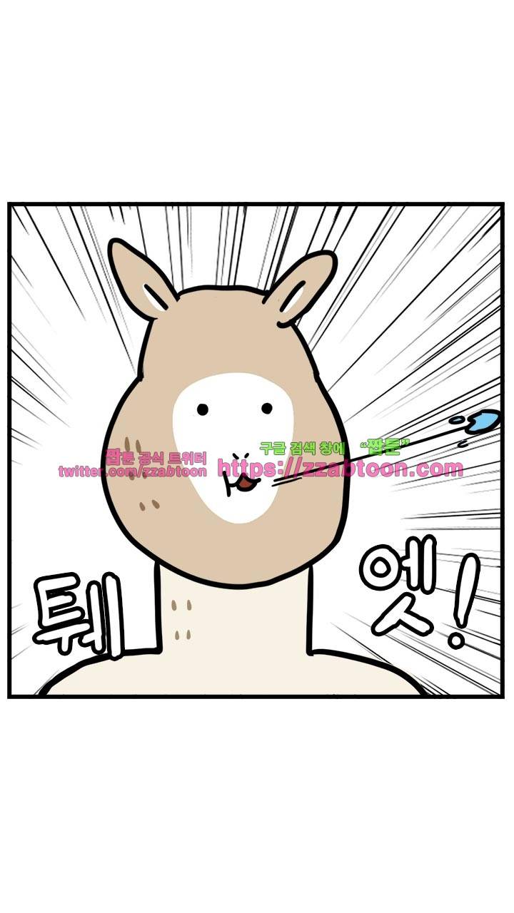 키몽툰-28화 알파카파카파까(2) 2