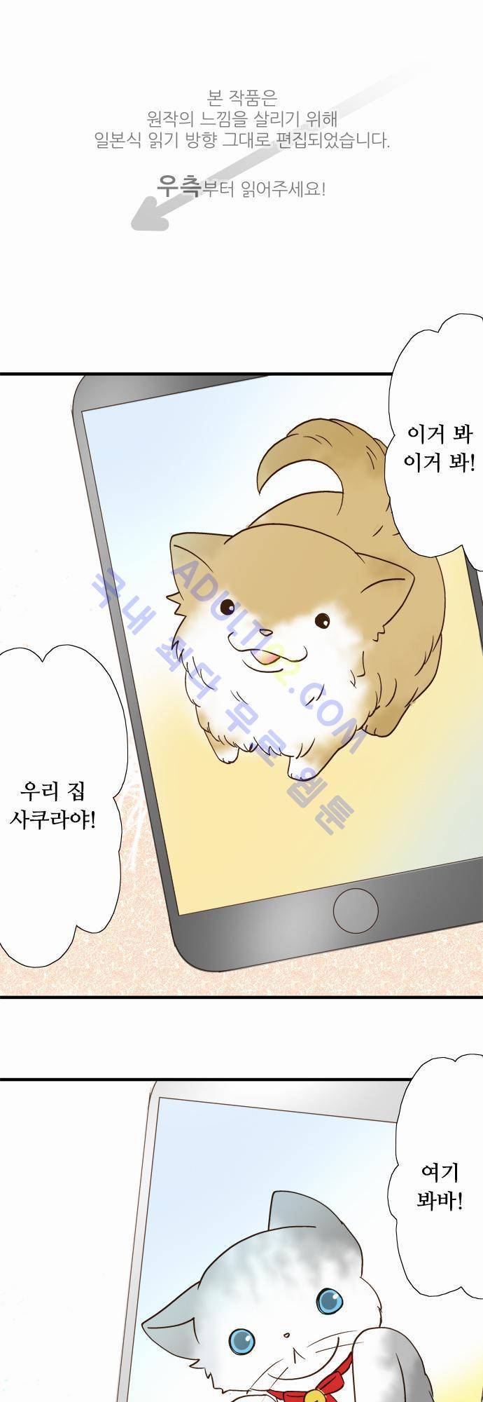 미이라 사육법 35화 1