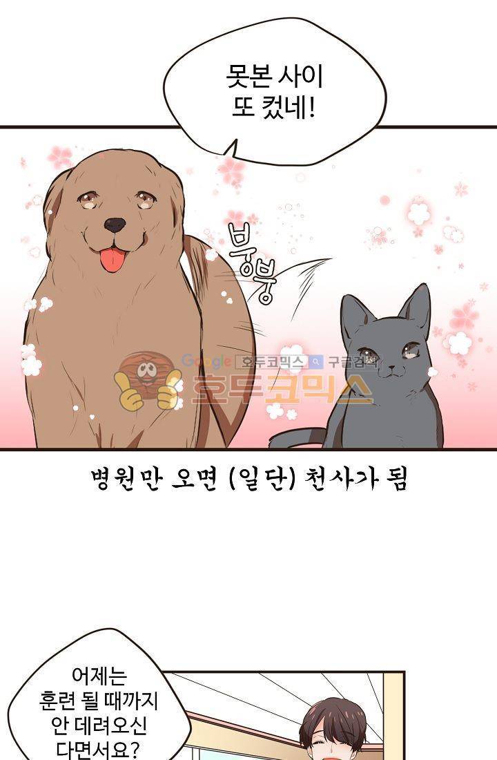 멍멍냥냥 5화 - 잘 지내볼까....? 39