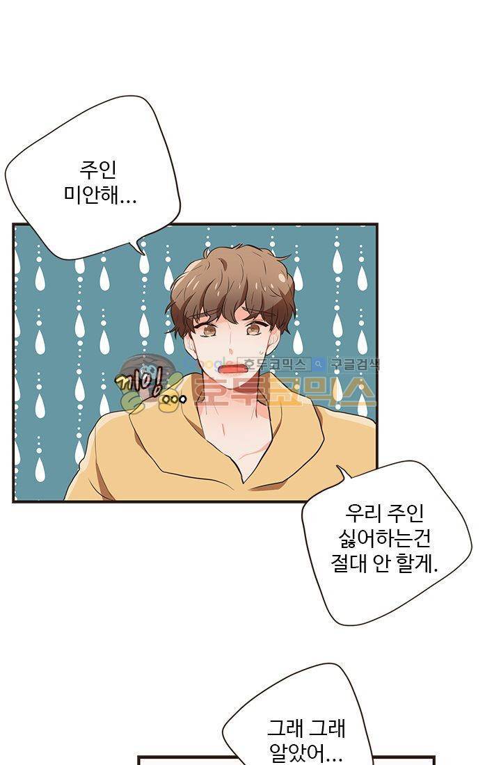 멍멍냥냥 14화 - 특단의 조치 1