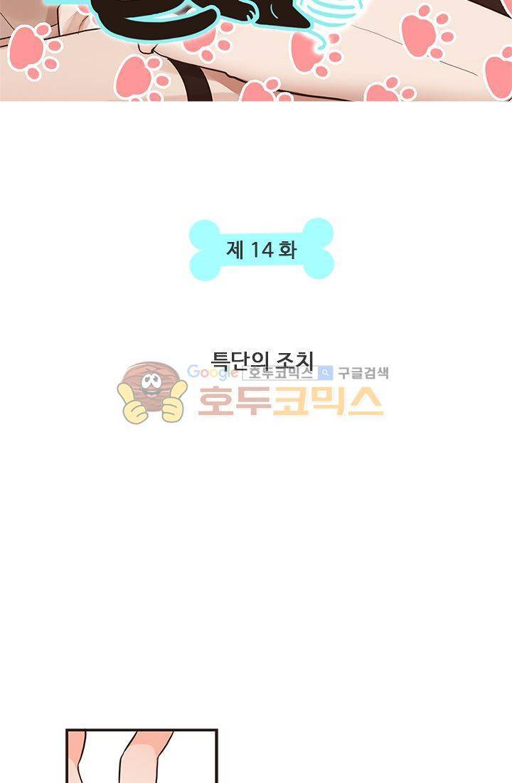 멍멍냥냥 14화 - 특단의 조치 6