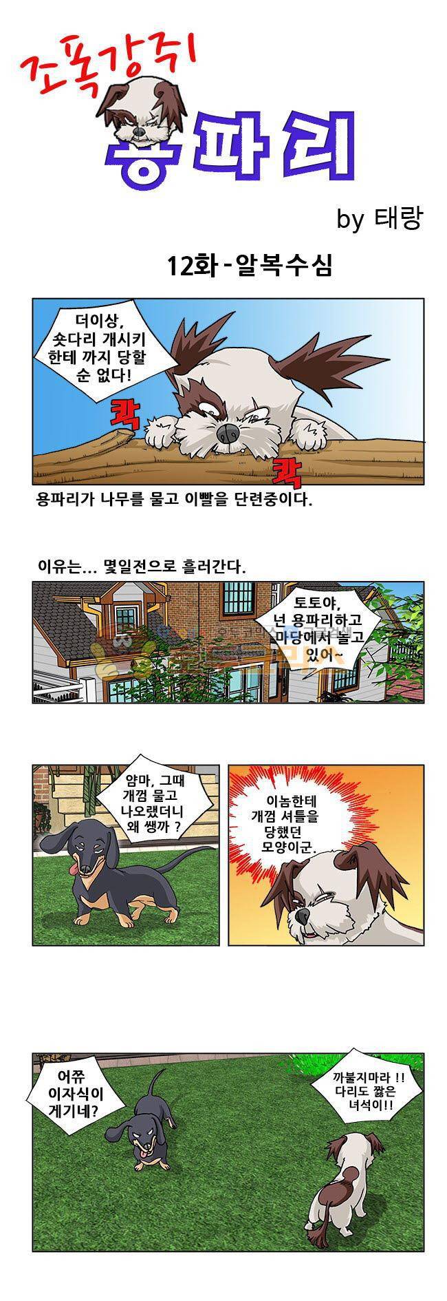 조폭강쥐 용파리 12화 - 알복수심 1