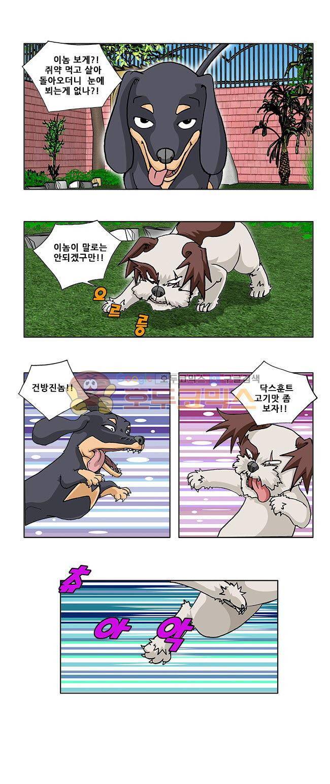 조폭강쥐 용파리 12화 - 알복수심 2