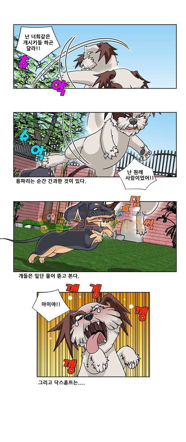 조폭강쥐 용파리 12화 - 알복수심 3