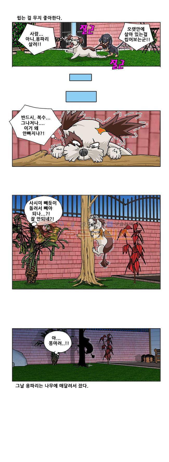 조폭강쥐 용파리 12화 - 알복수심 4