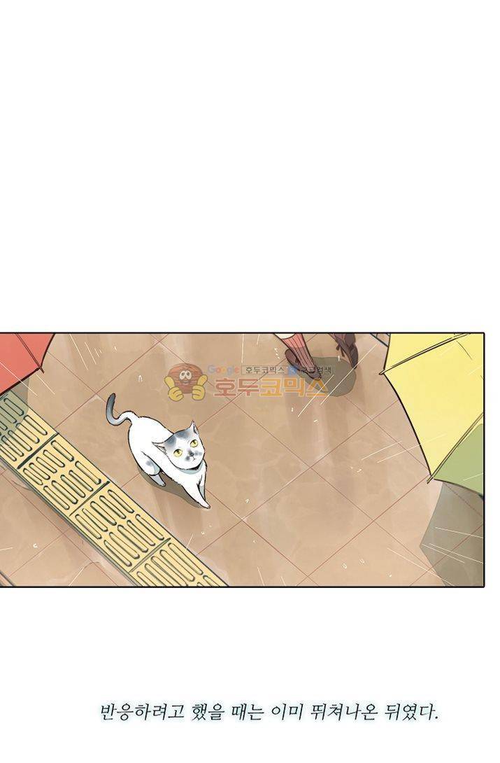 너의 고양이가 되고 싶어 12화 8