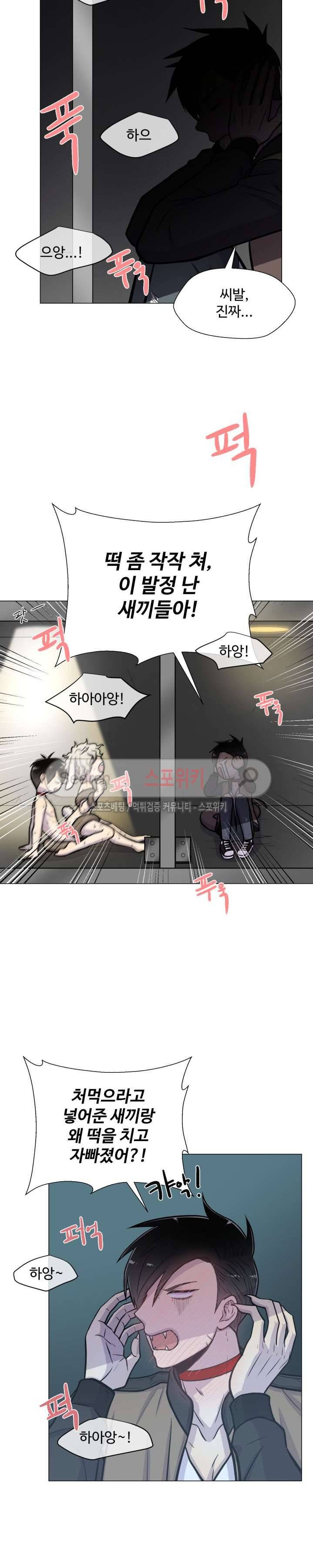 동물의 왕국 19화 11