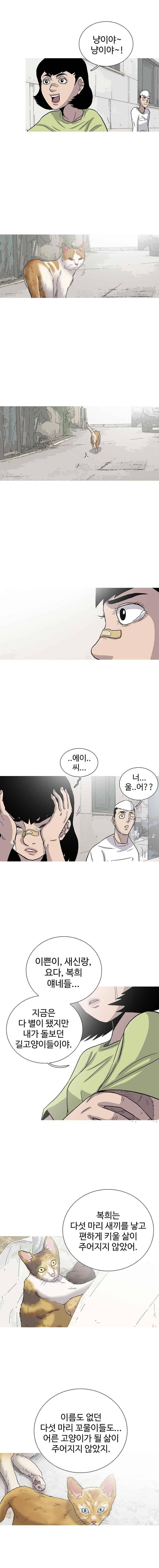 곤조 스트릿 20화 2