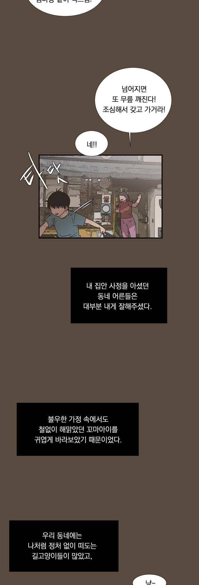 명예소녀의 추락 52화 14